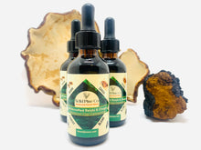 Load image into Gallery viewer, Reishi + Chaga Maine forest blend concentrate (chai flavored)
