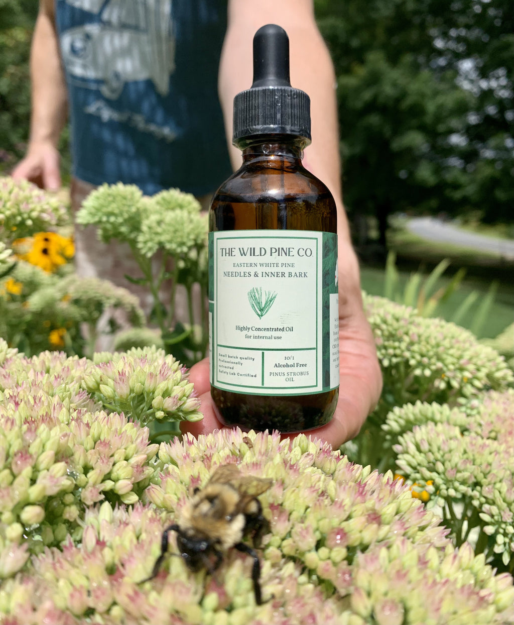 2 oz Highly concentrated (alcohol free) white pine oil  - 120 day supply