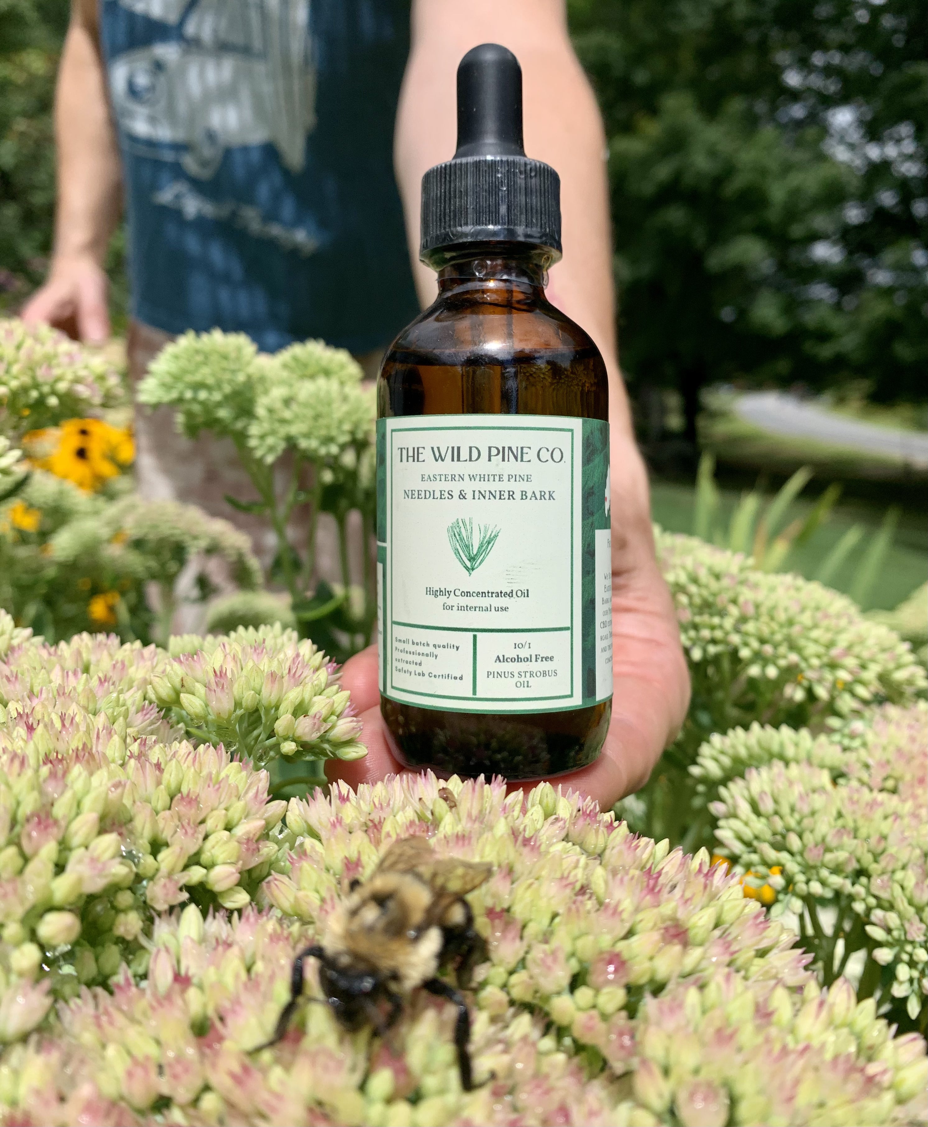 2 oz Highly concentrated (alcohol free) white pine oil  - 120 day supply