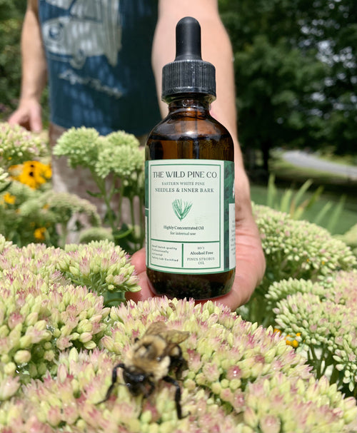 2 oz Highly concentrated (alcohol free) white pine oil  - 120 day supply