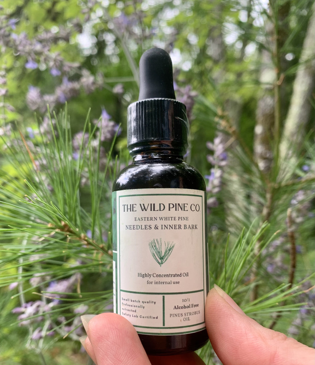 1 oz Highly concentrated white pine oil (alcohol free) - 60 day supply