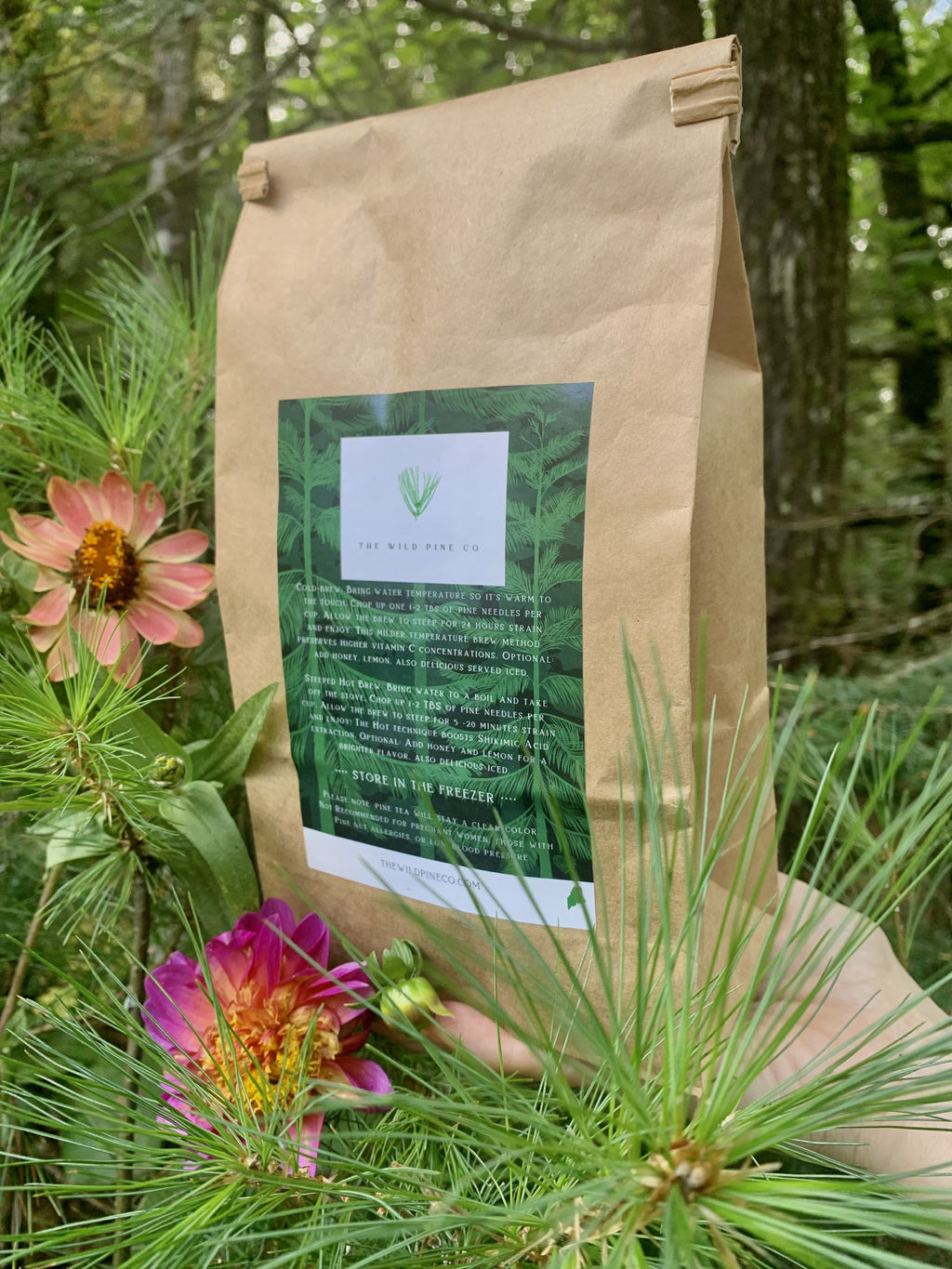 1/2 LB ( 8 oz) Fresh Eastern White Pine Needle Tea ( makes 100 cups of tea)