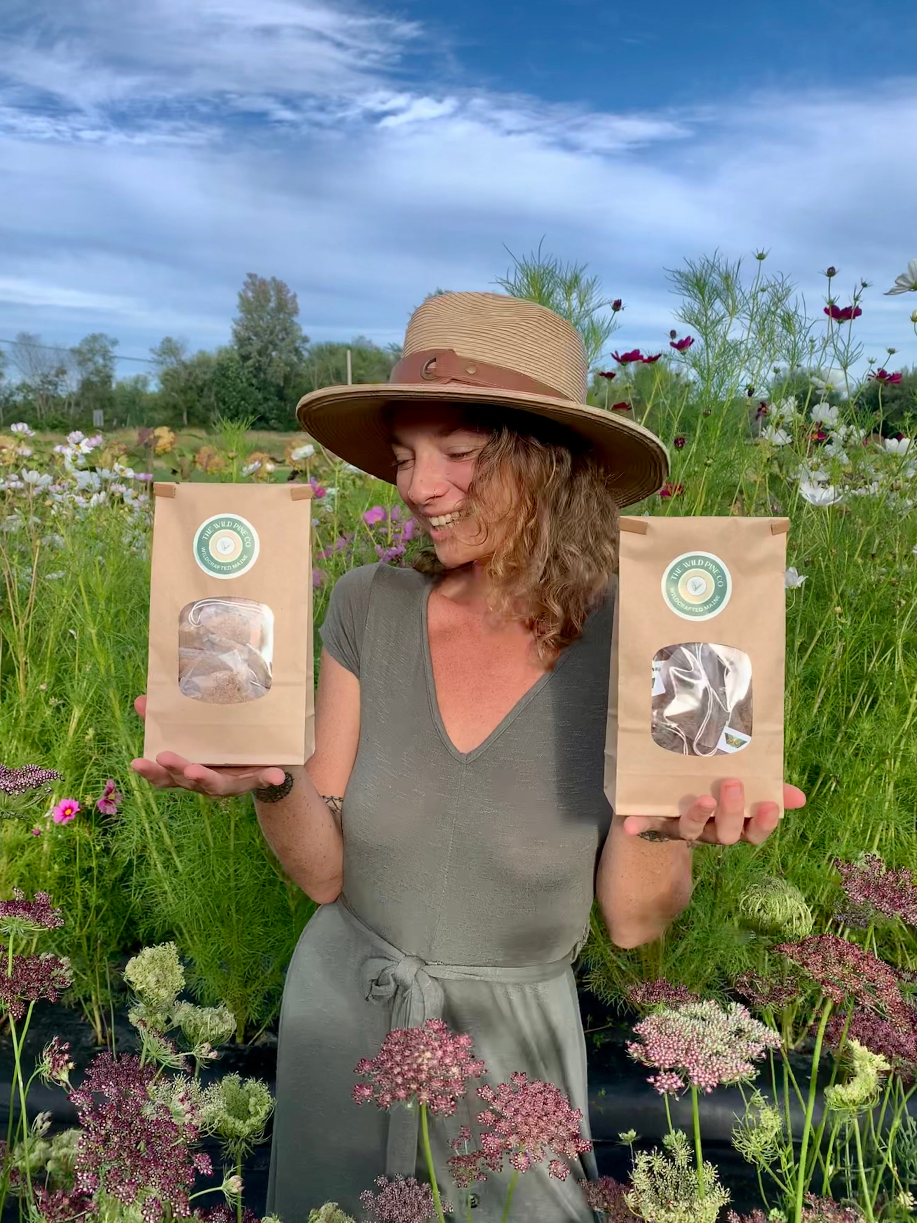 Wildcrafted Maine Reishi teabags